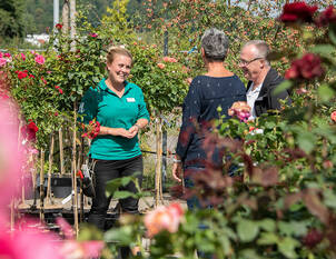 Kompetente Fachberatung