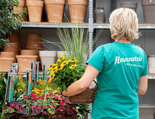 Bepflanzung von Gefässen, Töpfen und Balkonkistchen