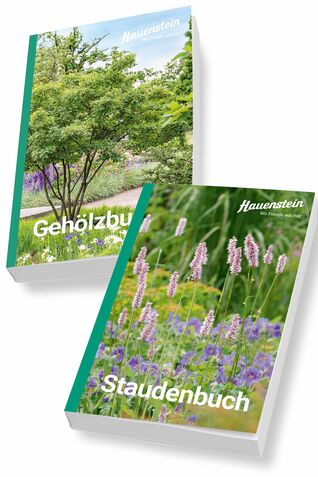 Unverzichtbare Standard-Werke und wichtige Inspirationsquelle: Die Neuauflage unserer Hauenstein Pflanzenbücher – für Profis und Gartenliebhabende.