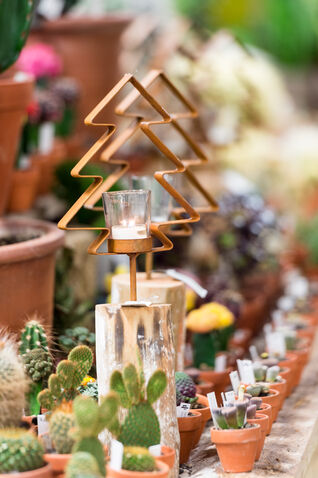 Liebevoll ausgewählte Artikel: In unseren Gartencentern finden sicher das richtige Geschenk für sich selber oder Ihren Lieblingsmenschen.