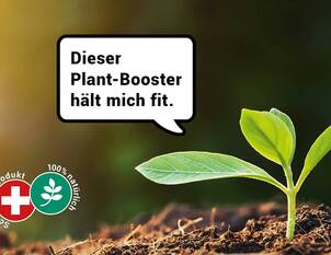 Plant-Booster: Boden-Power mit Pflanzenkohle