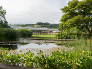 Schaugarten mit Blick aufs Gartencenter Rafz
