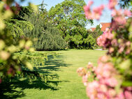 Schaugarten im Sommer