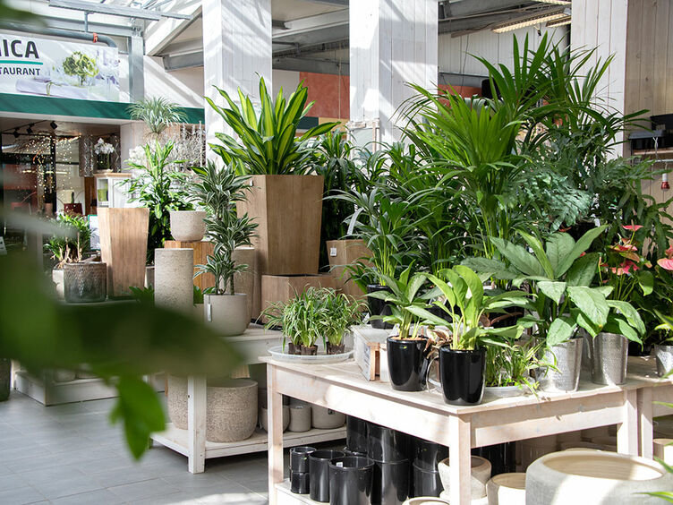künstliche kirschen Hochzeitsdeko I Kirschblütenzweig I Ja-Hochzeitsshop main image 0