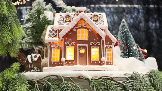 HoHoHo! Weihnachtsausstellung in den Hauenstein Gartencentern