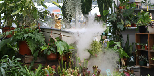 Our indoor jungle in Zurich – lush greenery, tropical mist, and plenty of inspiration