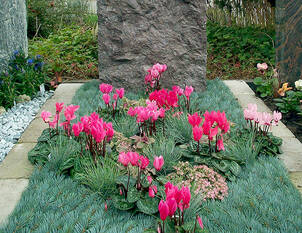 Videoanleitung: Grabbepflanzung im Jahresverlauf