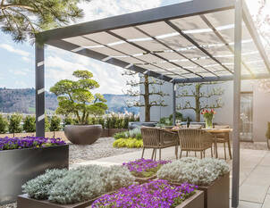 Videoanleitung: Kübelpflanzen umtopfen