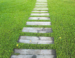 Videoanleitung: Ausbesserung von Rasenflächen