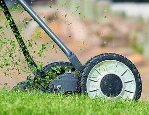 Videoanleitung: Rasenpflege im Frühjahr