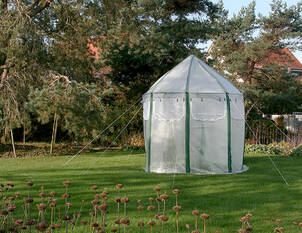 Videoanleitung: Überwinterung von winterharten Kübelpflanzen. 