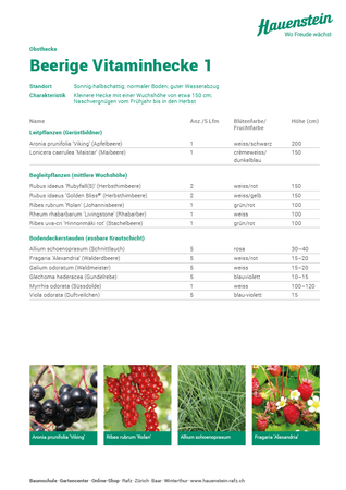 Beerige Vitaminhecke 1