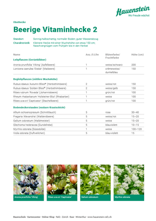 Beerige Vitaminhecke 2