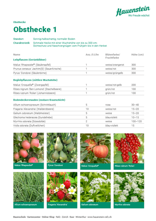 Obsthecke 1