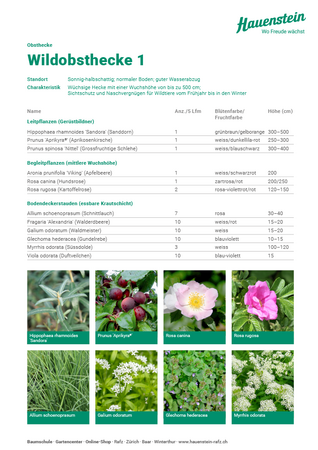 Wildobsthecke 1