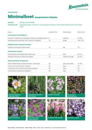 Staudenhecke Minimalbeet (komprimierte Rabatte)