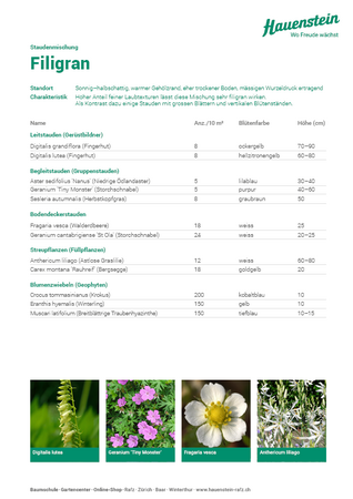 Staudenmischpflanzung Filigran