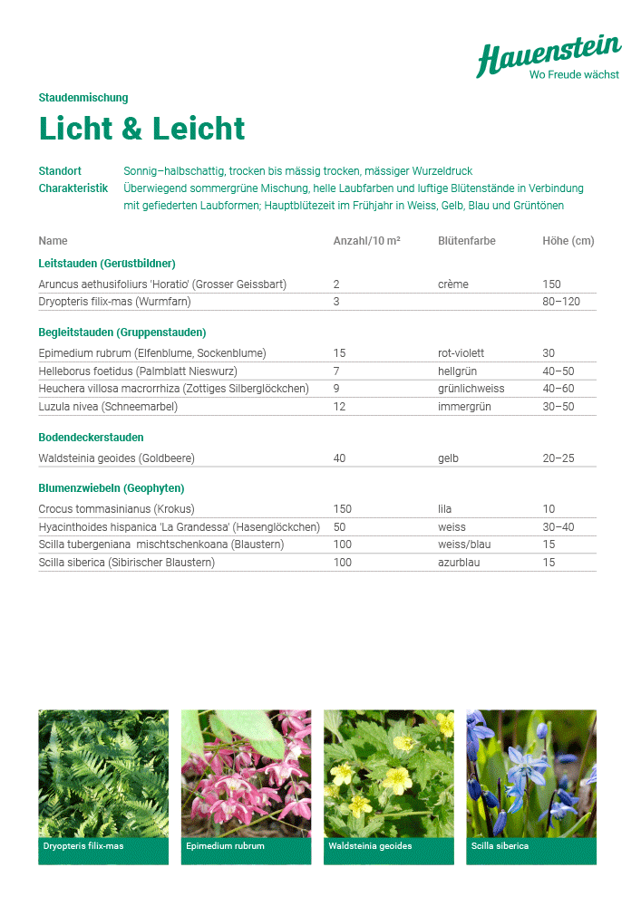 Staudenmischpflanzung Licht und Leicht