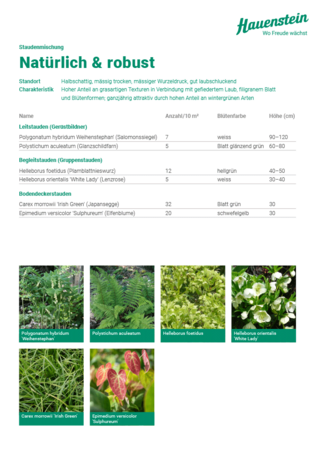 Staudenmischpflanzung Natürlich und Robust