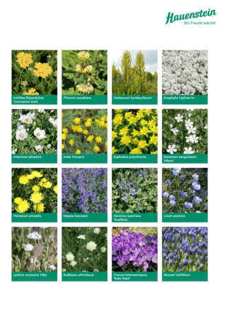 Staudenmischpflanzung Silbersommer