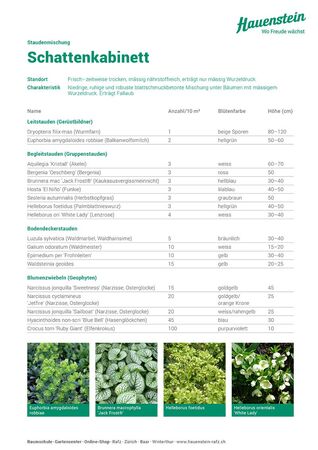 Staudenmischpflanzung Schattenkabinett