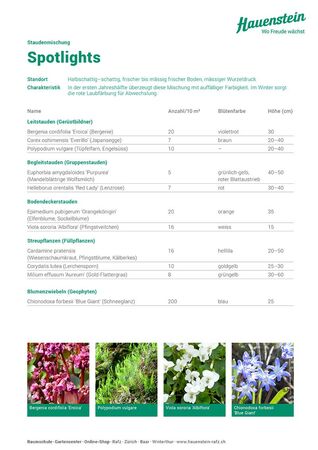 Staudenmischpflanzung Spotlights