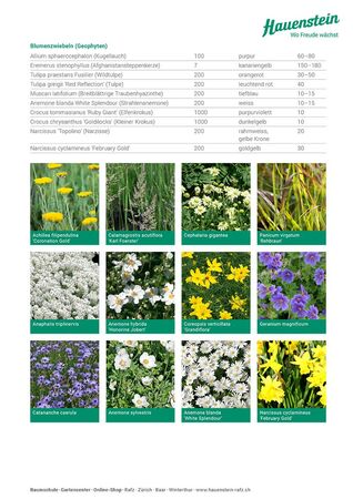 Staudenmischpflanzung Tanz der Gräser