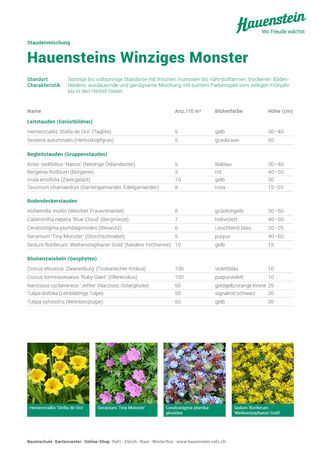 Staudenmischpflanzung Hauensteins Winziges Monster