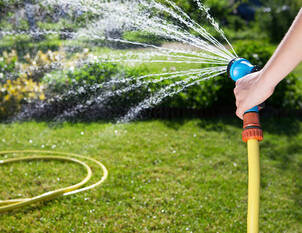 Bewässern – aber richtig!