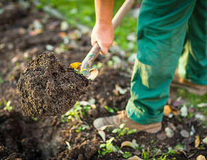 Bodenbearbeitung – Bodenpflege im Spätherbst