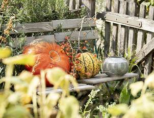 Herbstpflege im Garten