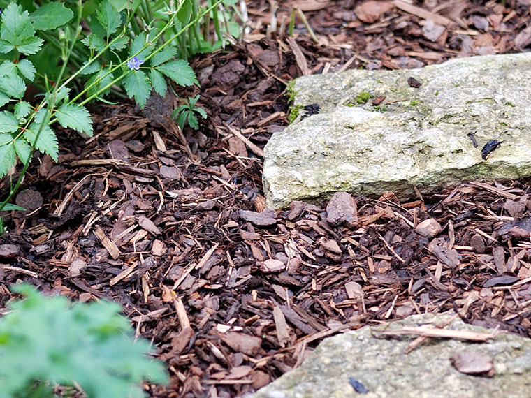 60+ Natur Im Garten Mulchen, Das abdecken des bodens mit laub oder