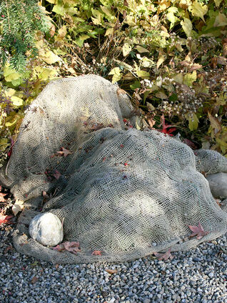 Winterschutz im Beet 