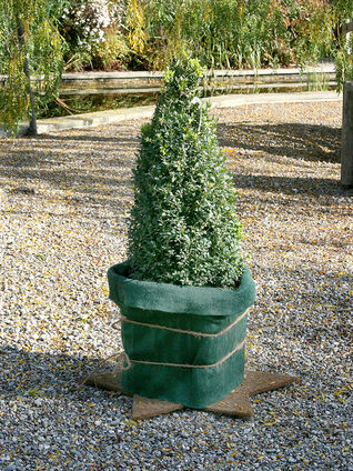 Schutz des Wurzelbereichs 