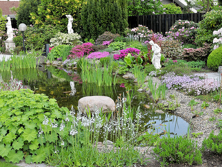 Gartenteich dngen oder nicht? | Hauenstein AG