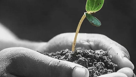 Er eignet sich besonders für die Grunddüngung von Anpflanzungen, seien es Sträucher, Stauden, Obst, Beeren, Saisonblumen, Zierpflanzen und Rasen. 