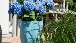 Farbige Eternit-Gefässe