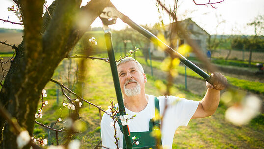 Das richtige Werkzeug für die entsprechende Arbeit erleichtert vieles und es ist auch klar bequemer. 