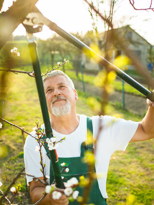 Das richtige Werkzeug für die entsprechende Arbeit erleichtert vieles und es ist auch klar bequemer. 