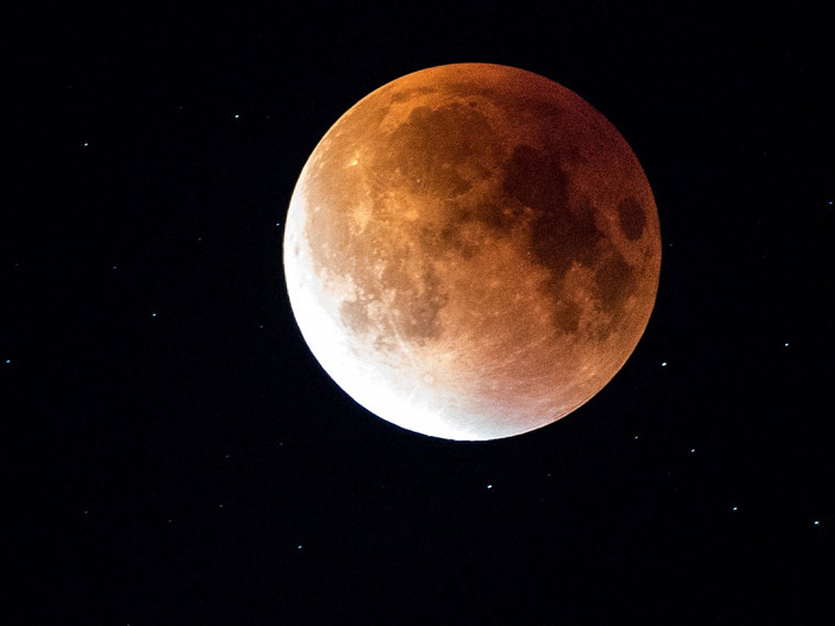 test dünger mit unkrautvernichter Rasendünger mit Unkrautvernichter, Unkrautbekämpfung, Rasenpflege – Terrauno main image 1