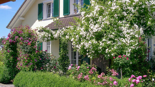 Ein schöner Garten rückt das Haus ins richtige Licht.