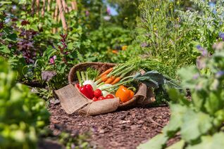 Ziel ist es, einen Garten zu gestalten, der langfristig funktioniert, sich weitgehend selbst reguliert und gleichzeitig eine reiche Ernte ermöglicht. 