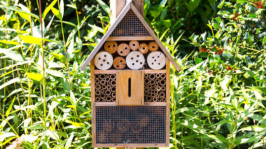 In unseren Gartencentern finden Sie verschiedene, fixfertige Insektenhotels, die für Insekten sofort bezugsbereit sind. 