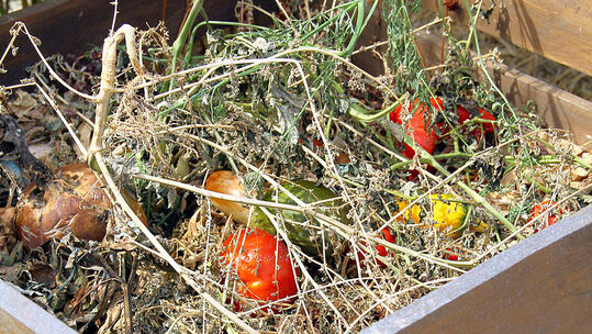 Bei Komposteinrichtungen gibt es verschiedene Modelle.