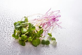 Microgreens zeichnen sich durch ihren intensiven Geschmack und ihre kompakte Form aus. Sie enthalten eine hohe Konzentration an Vitaminen und Mineralstoffen. 
