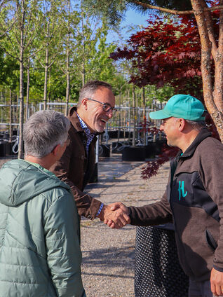 Solitärgehölze in der Baumschule selber auslesen. 