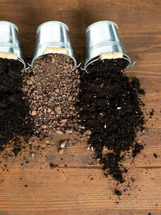 Verschiedene Pflanzenarten stellen unterschiedliche Anforderungen an Umwelt und Substrate. Deswegen eignet sich nicht jede Art Erde für jede Pflanze.