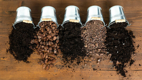 Verschiedene Pflanzenarten stellen unterschiedliche Anforderungen an Umwelt und Substrate. Deswegen eignet sich nicht jede Art Erde für jede Pflanze.