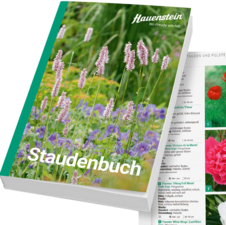 Hauenstein Staudenbuch