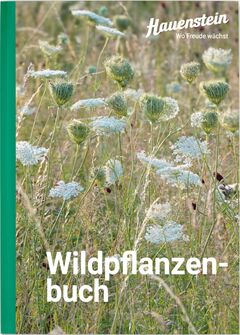 Hauenstein Wildpflanzenbuch
